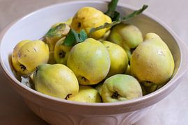 Kweeperen in een fruitschaal