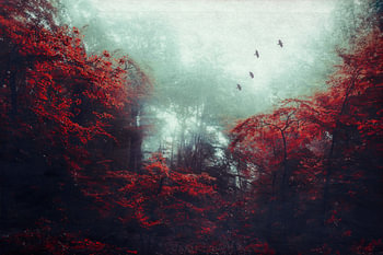 Mystical autumn forest in the mist