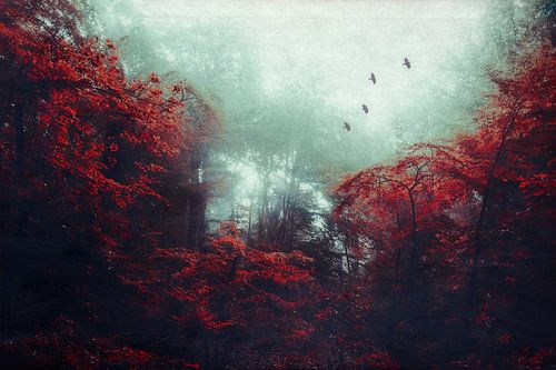 Mystiek herfstbos in de mist
