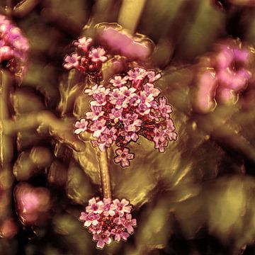 Digital Art Medium Bloemen Oud