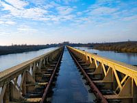 Nut well bridge