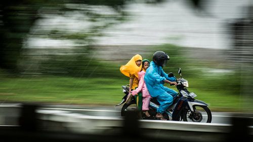 Ambon - Singing in the rain