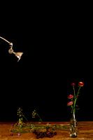 Still life with a modern lamp