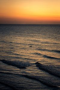 Surfen
