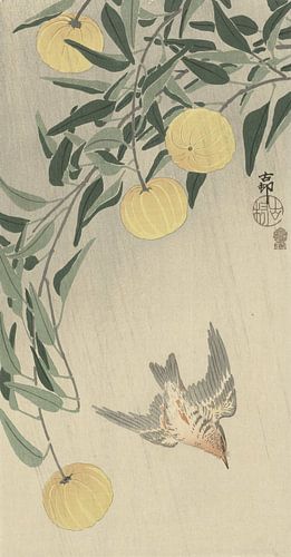 Coucou sous la pluie de Ohara Koson