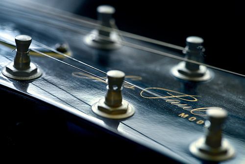 Gibson Les Paul - Play my guitar