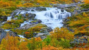 Automne le long du Gamle Strynefjellsvegen, Norvège