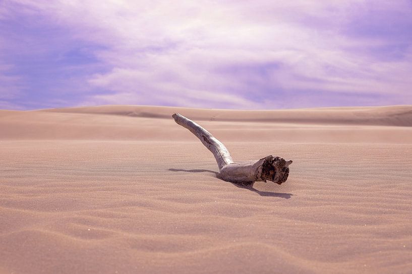 Travelling dune Baltic Sea Poland by Patrick Lohmüller