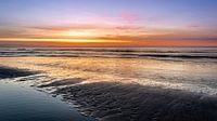 Kleuren explosie aan de kust