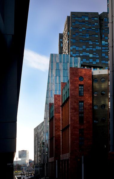 Amsterdam Zuidas in namiddag zon by Rutger Hoekstra