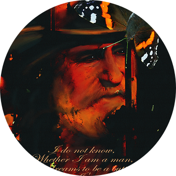 De oude man en de vlinder