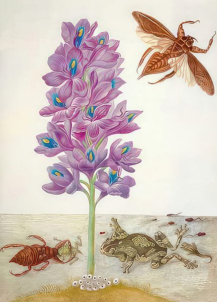Scorpion d&#039;eau, grenouilles, têtards et jacinthe d&#039;eau - Maria Sibylla Merian par Accessible Art