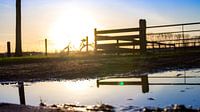 Hek met reflectie