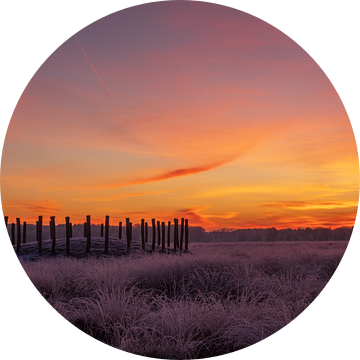 Winterse zonsopkomst in de Regte Heide te Brabant van Johannes Nouwens