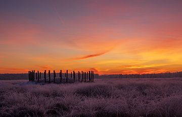 Winterse zonsopkomst in de Regte Heide te Brabant van Johannes Nouwens