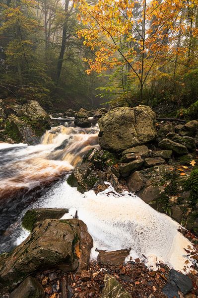 Atemberaubender Wasserfall in den belgischen Ardennen: Herbstlandschaft von Hevonax Photography