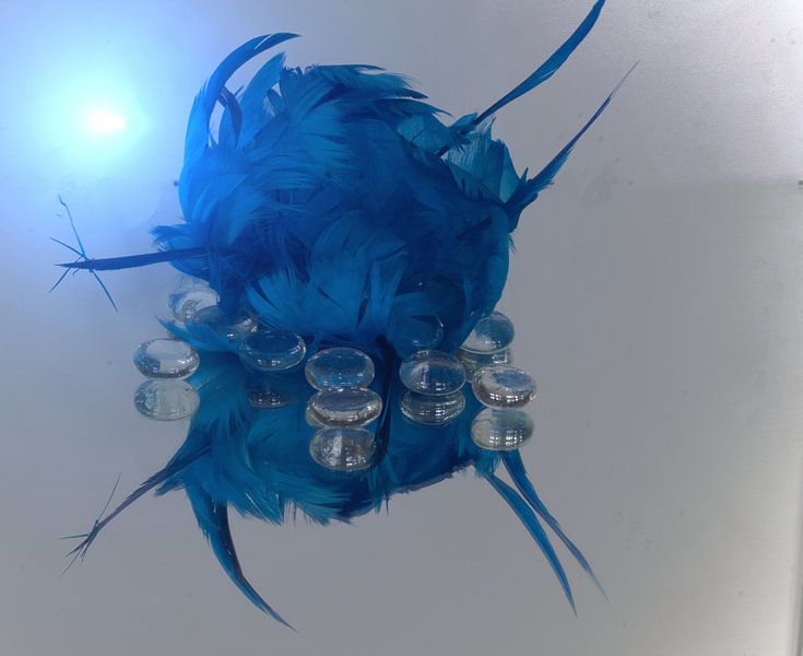 blue and fluffy by joyce kool