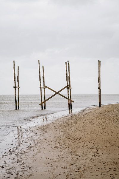 Der alte Anlegesteg der Friendship, dem Schiff von Texel nach Vlieland | Expedition backyard | Fine  von Evelien Lodewijks