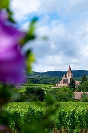 De kerk van Hunawihr (Eglise Saint-Jacques-le-Majeur) van Discover Dutch Nature