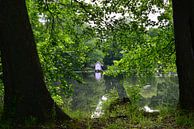 Spreewald-Teich von Ingo Laue Miniaturansicht
