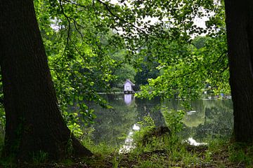 Spreewald vijver van Ingo Laue