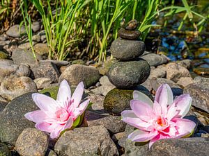 Balancesteine und Blumen Wellness Hintergrund
