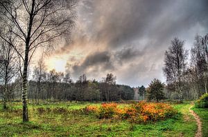 Monniken Bos Soest Amersfoort