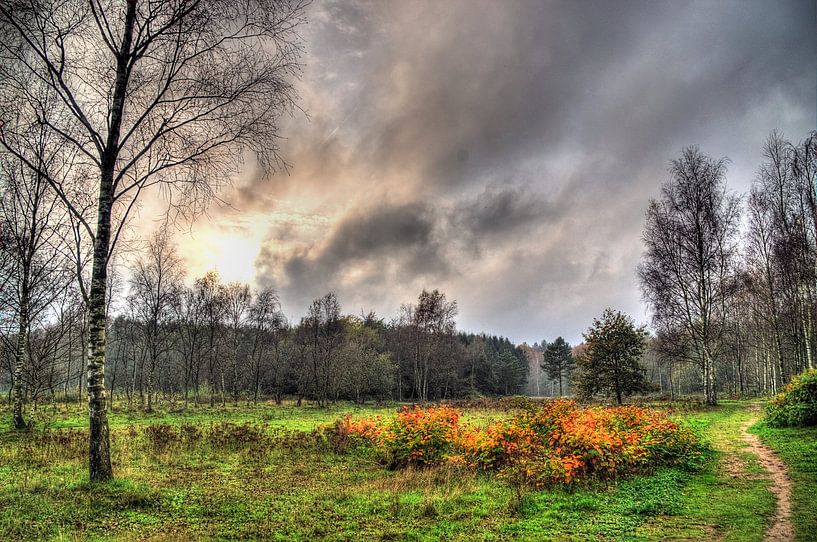 Monniken Bos Soest Amersfoort von Watze D. de Haan