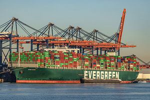 Containerschiff Ever Given von Evergreen.