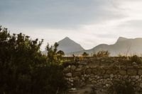 Berg uitzicht, Konijn Althea, Spanje