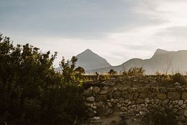 Berg uitzicht, Konijn Althea, Spanje van Hannah Hoek