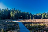 Herfstwandeling op de hoogten van het Thüringer Wald van Oliver Hlavaty thumbnail