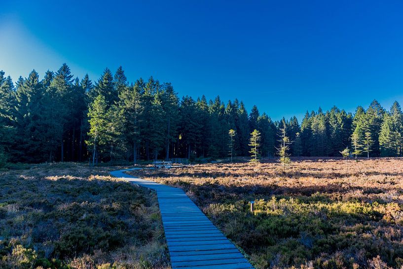 Herfstwandeling op de hoogten van het Thüringer Wald van Oliver Hlavaty