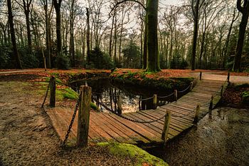 Eine kleine Brücke mitten im Wald.