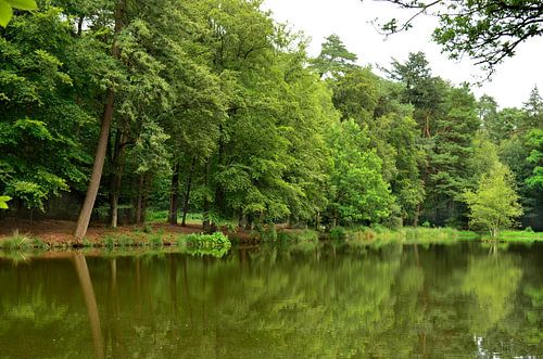 A hot summer day in July at the waterfront by Corinne Welp