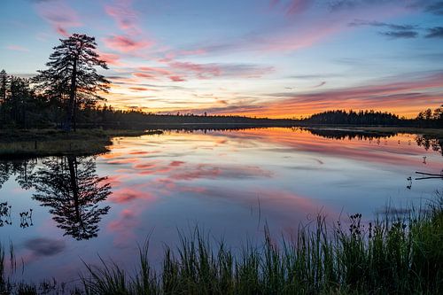 Sunset and reflections