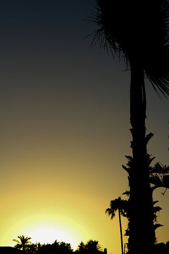 Spaanse gloed von Suzanne de Jong