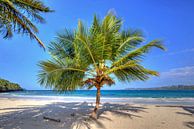 Bij Playa Rincon op het schiereiland Samaná van Roith Fotografie thumbnail