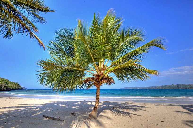 Bij Playa Rincon op het schiereiland Samaná van Roith Fotografie