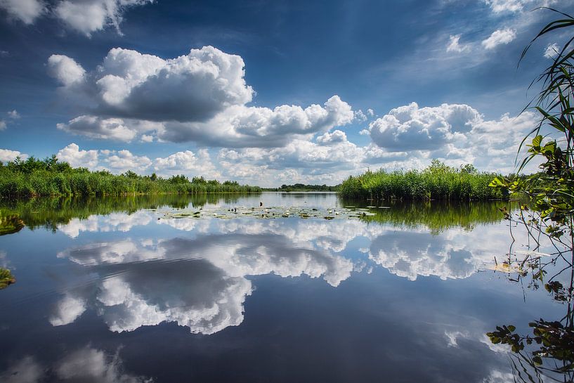 Spiegelung der Wolken in Ankeveense Plassen von Frans Lemmens