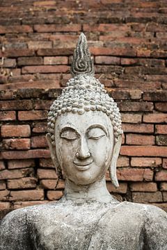 Boeddha in de tempel van Thailand van Marcel Derweduwen