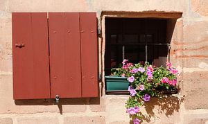 Altes Fenster mit Fensterladen und Blumenkasten Altstadt, Nürnberg,  Bayern, Deutschland, Europa