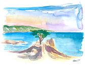 Lone Cypress Pebble Beach 17 Mile Drive mit Ozean von Markus Bleichner Miniaturansicht