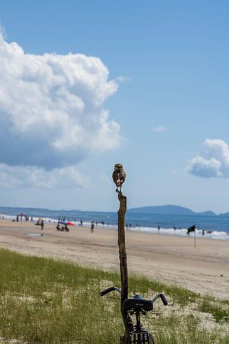 Plongez votre regard dans le silence