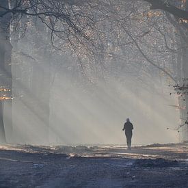 Running in the fog by Sammie van der Hooft