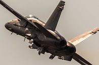 F-18 Superhornet von Nildo Scoop Miniaturansicht