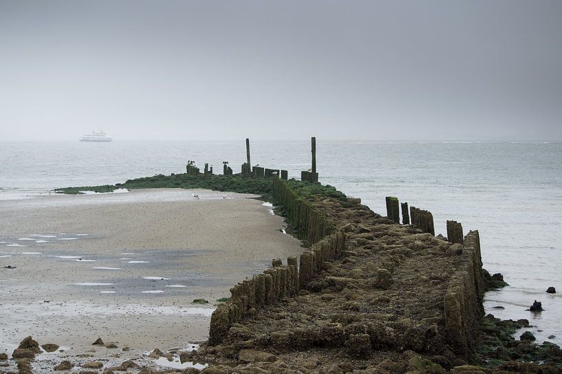 Ferry Vlissingen-Breskens by Talitha Blok
