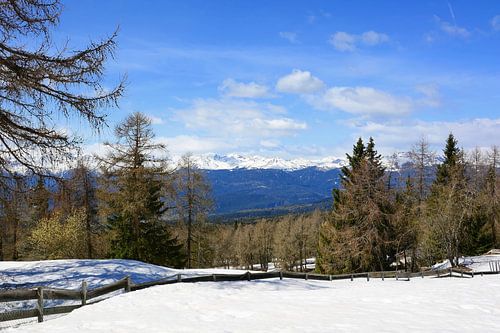 View of the Ortler Group from Penegal by Gisela Scheffbuch