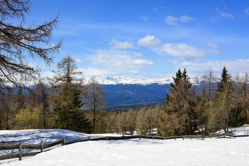 Blick vom Penegal auf die Ortler-Gruppe van Gisela Scheffbuch