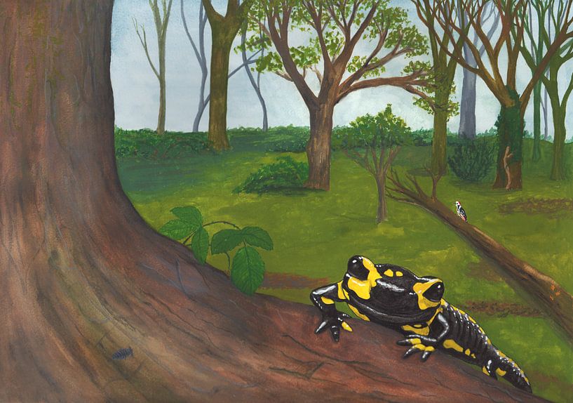 Salamandre de feu dans la forêt du Limbourg, gouache d'un paysage forestier par Marjolijn de Winter